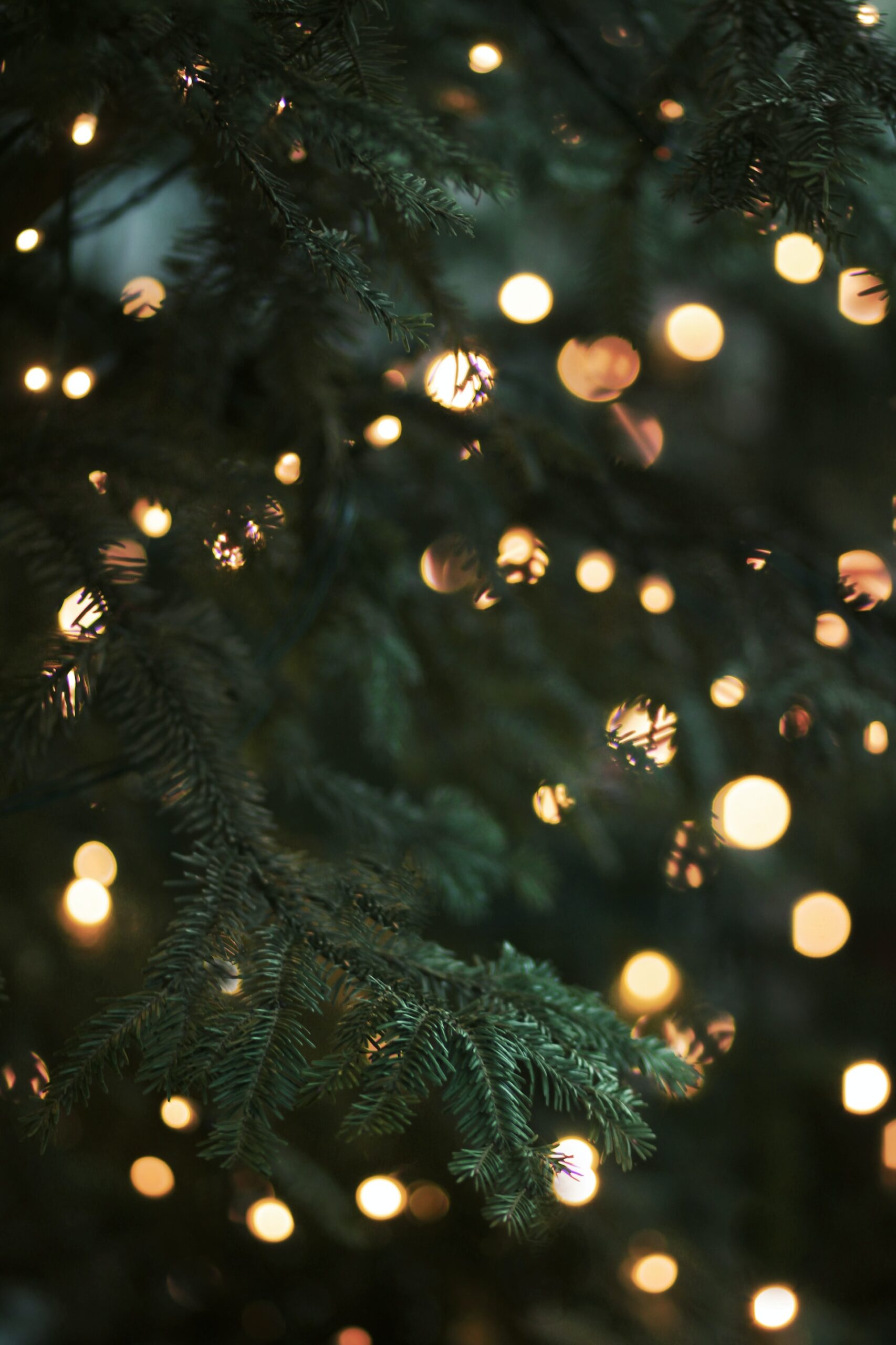 Skab sikker hygge med LED julelys