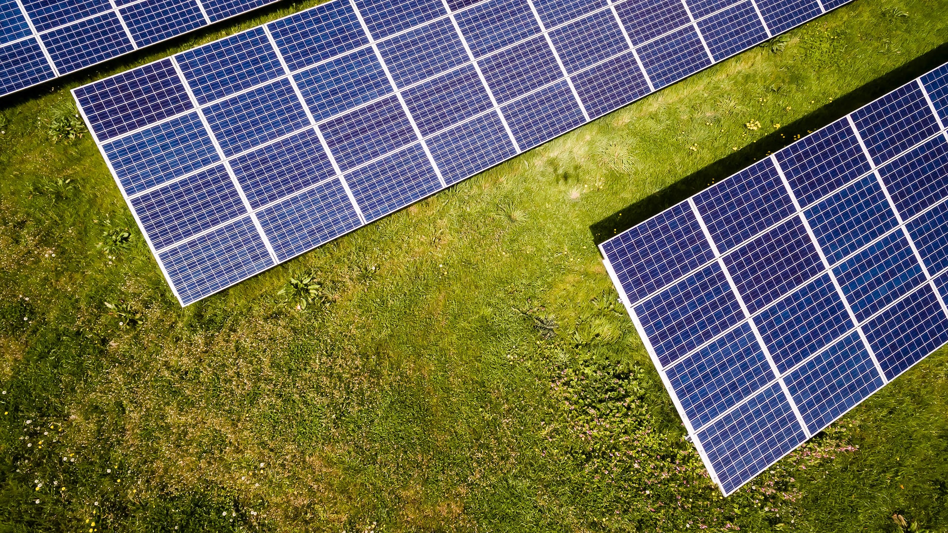 Fire gode grunde til at vælge et solcelleanlæg
